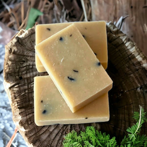 Nature Boy Vegan Palm Free Soap - Hotsy Totsy Haus