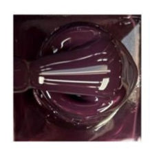 Load image into Gallery viewer, Nightshade Nail Polish - Hotsy Totsy Haus